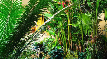 Villa Oasis Abidjan